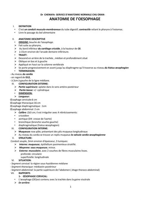 Pdf Dr Chenafa Anatomie De Loesophagefacmed Univ Oran Dz Ressources