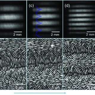 Nanostructures On The Tungsten Surface Fabricated By Femtosecond Laser