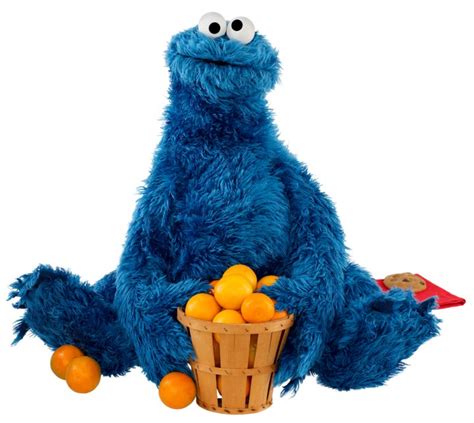 Sesame Street - Sesame Street Photo (35144640) - Fanpop