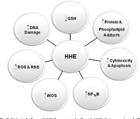 Figure 1 From Trans 4 Hydroxy 2 Hexenal A Product Of N 3 Fatty Acid