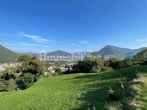 Terreno Agricolo Via Madonna Della Neve Albino Rif