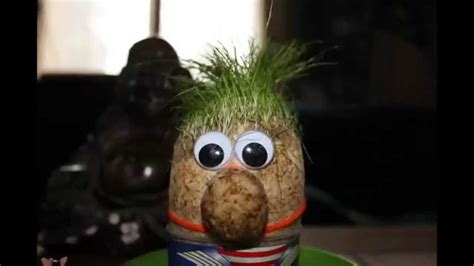 Grass Head Time Lapse Video Youtube