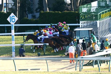 第34回 フェブラリーステークス レース情報｜gⅠ特集｜競馬情報ならjra Van