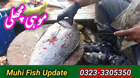 Fish Video Muhi Fish Bonlss Biscuits Update Karachi Fishery Market On