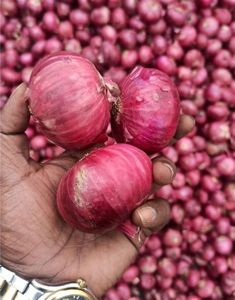 Maharashtra Dry A Grade Nashik Red Onion Packaging Size Kg Onion