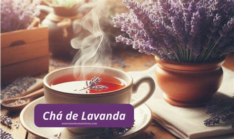 Chá de Lavanda Propriedades Benefícios Preparação e Precauções