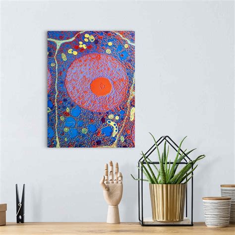 Plant cell Wall Art, Canvas Prints, Framed Prints, Wall Peels | Great ...