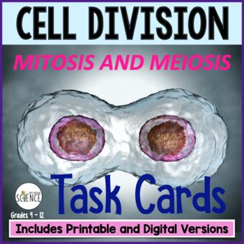 Cell Division Mitosis Meiosis Task Cards Printable And Digital