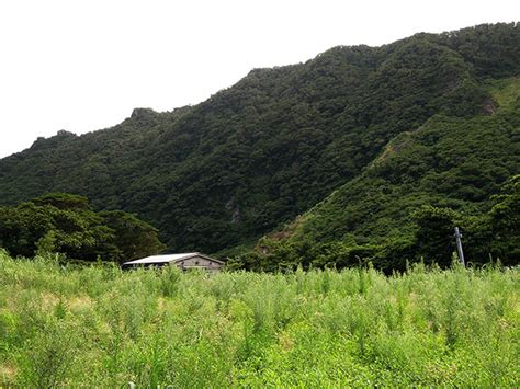 Ikenosawa Caldera Aogashima Tourism Japan Travel Arinoki