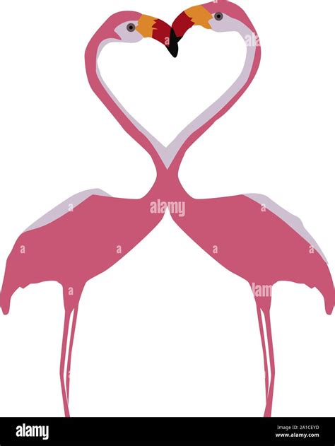 Flamingos Kissing Cut Out Stock Images And Pictures Alamy