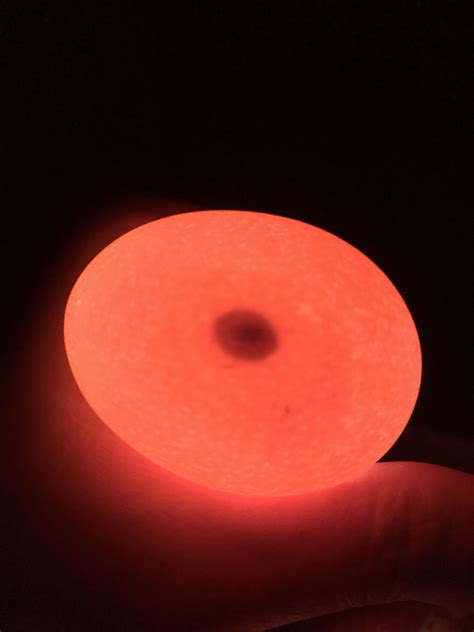 please post pictures of bad eggs during candling! | Page 2 | BackYard