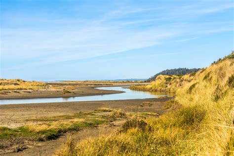 Ocean Shores State Park State Parks Washington Coast Oyhut Bay