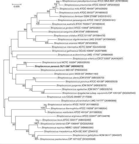 Table 1 From Reappraisal Of The Taxonomy Of Streptococcus Suis