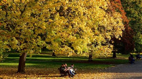 Kensington Gardens Tours - Book Now | Expedia