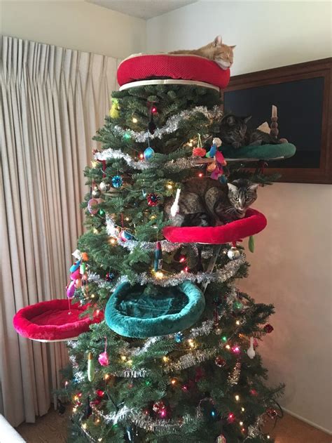 Catmas Tree Christmas Tree With Cat Toys For Ornaments And Perches For Cats Built By Mike