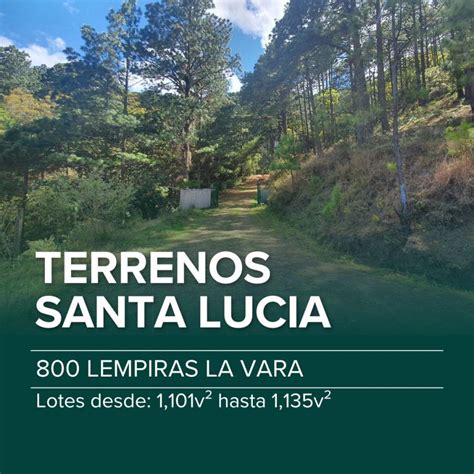 Terreno En Venta En Santa Luc A Francisco Moraz N Tev