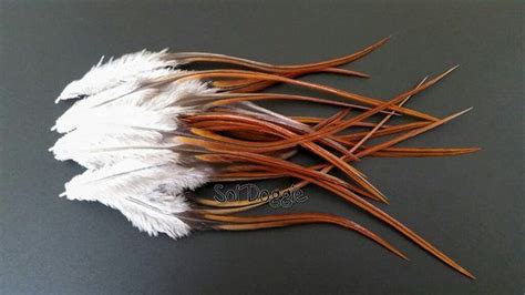 Brown Feathers Crafts Supplies Brown Craft Feathers Hair Etsy