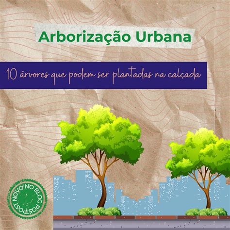 Arborização Urbana 10 árvores Que Podem Ser Plantadas Na Calçada