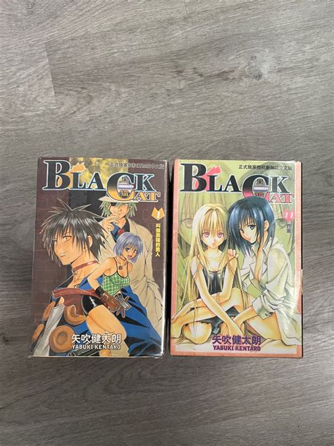 Black Cat (Manga) - Complete Set, Hobbies & Toys, Books & Magazines ...
