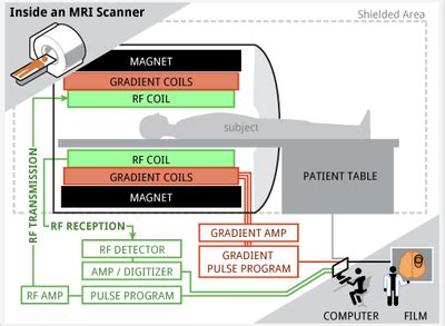 Parts of MRI - MRI : Magnetic Resonance Imaging