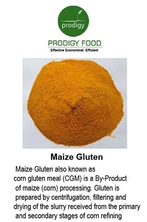 Maize Gluten Manufacturers | PDF