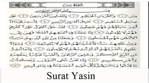 Surat Yasin Ayat Lengkap Latin Arab Serta Terjemahan Indonesia