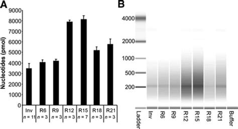 Full Article Reverse Transcription Using Random Pentadecamer Primers