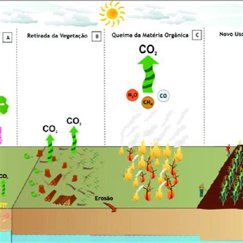 Mudança De Uso Da Terra E Emissões De Co 2 Download Scientific Diagram