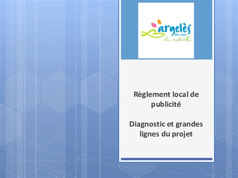 R Glement Local De Publicit Diagnostic Et Grandes Lignes Du Projet