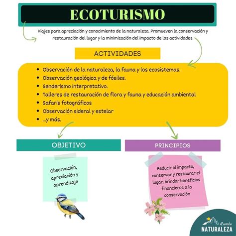 Qué Es El Ecoturismo Actividades Principios Y Más