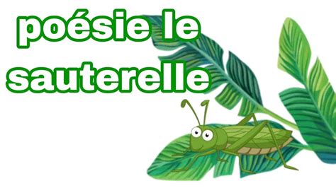 poésie de sauterelle cp CE1 poésie YouTube