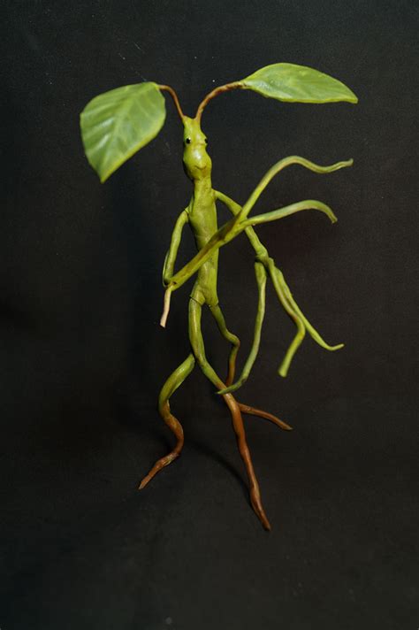 Bowtruckle Pickett Fantastic Beasts By Kessan On Deviantart