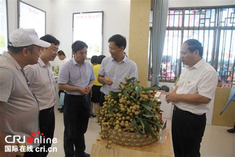 中国（平南）富硒石硖龙眼节在贵港平南县开幕 产业专家共话石硖龙眼产业发展