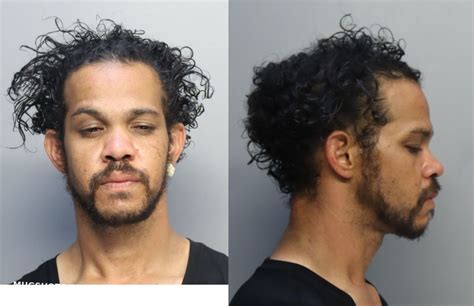 VALENTIN JOHNNY 07 03 2024 Miami Dade County Mugshots Zone