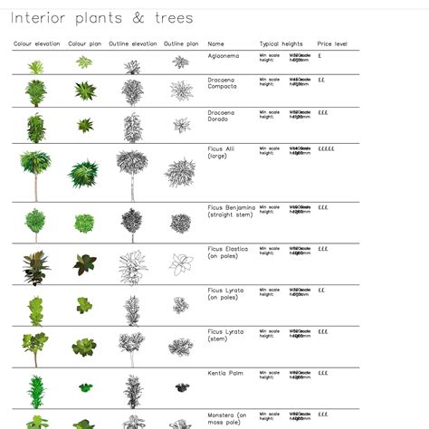 Indoor Plant Cad Symbols Dwg Files of Interior Plants With - Etsy UK