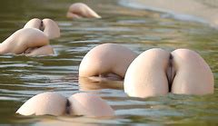 Funny Pics Smile Babe Smile Pics