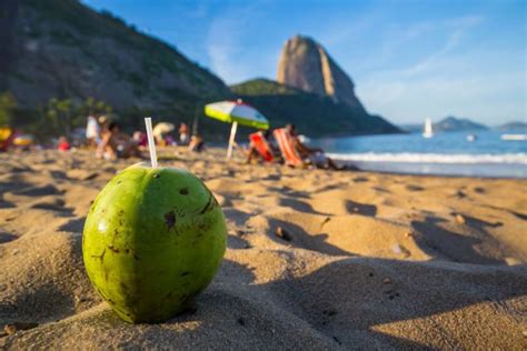 Tipos De Sunga De Praia Conhe A As Op Es Populares Pro Ver O