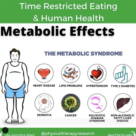 Time Restricted Eating On Human Health Part 4 Metabolic Effects Modern Manual Therapy Blog