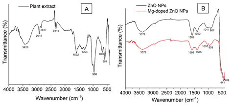 Photocatalytic And Antimicrobial Properties Of ZnO And Mg Doped ZnO