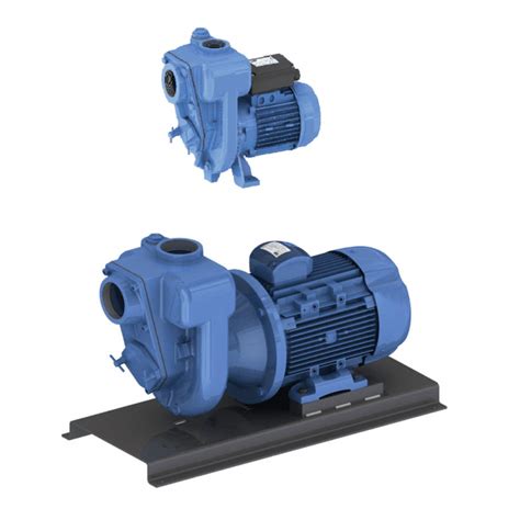 Gmp Electric Surface Trash Self Priming Pumps Pumps From Pump Co Uk