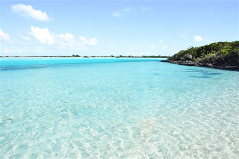 Best 15 Facts About The Bahamas You Probably Dont Know