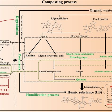 Humification process in different treatments. Changes in (a) humic ...