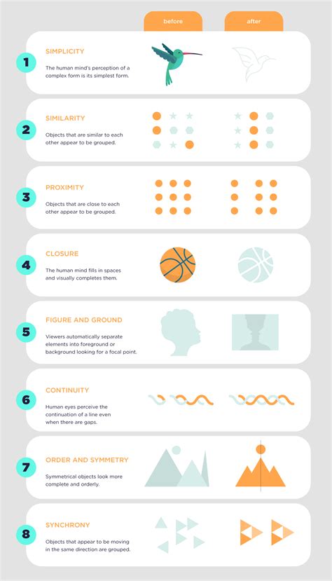 Design Principles Infographic Template - Riset