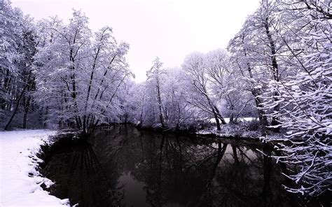 Hintergrundbilder B Ume Landschaft Wald Wasser Natur Betrachtung