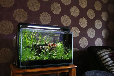 Pro Aquascaper George Farmer Gives YOU His Best Advice ScapeFu038