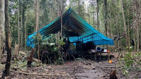 Pascakontak Tembak KKB Dan TNI Polri Di Yahukimo 2 KKB Tewas 1