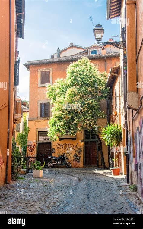 Street Of Trastevere Rome A Quiet Morning Summer Stock Photo Alamy