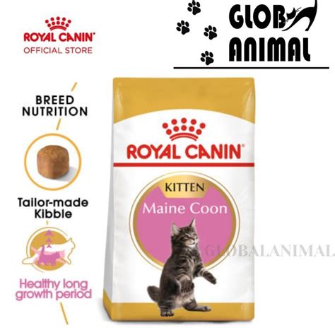 Jual Royal Canin Kitten Maine Coon Kg Dryfood Makanan Kucing Catfood