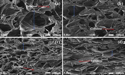 Sem Micrographs Of Cellulose Polyacrylamide Hydrogel Composites