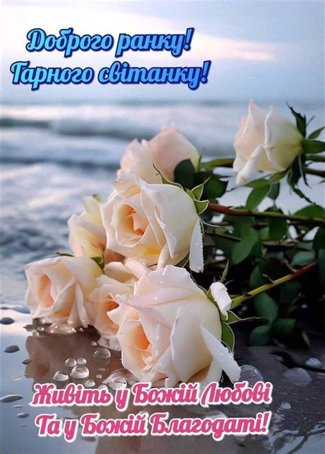 pictures panosundaki Pin, 2024